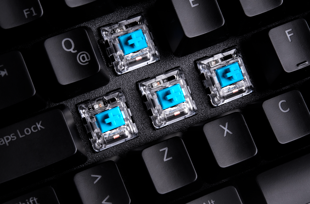 Negro / Regular Azul